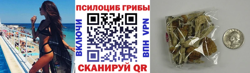 хочу   Данков  Псилоцибиновые грибы ЛСД 